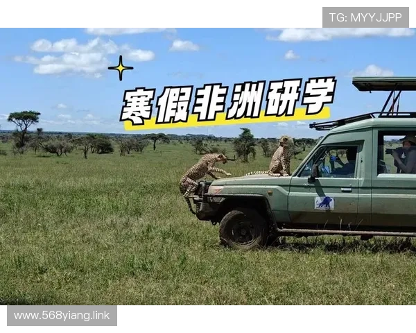 非洲直播新浪潮：探索原生态文化魅力